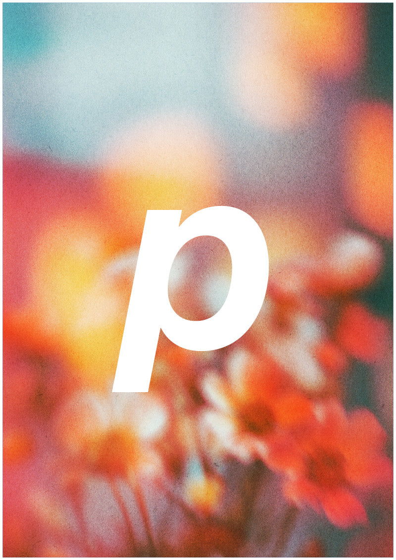 Bloom - P