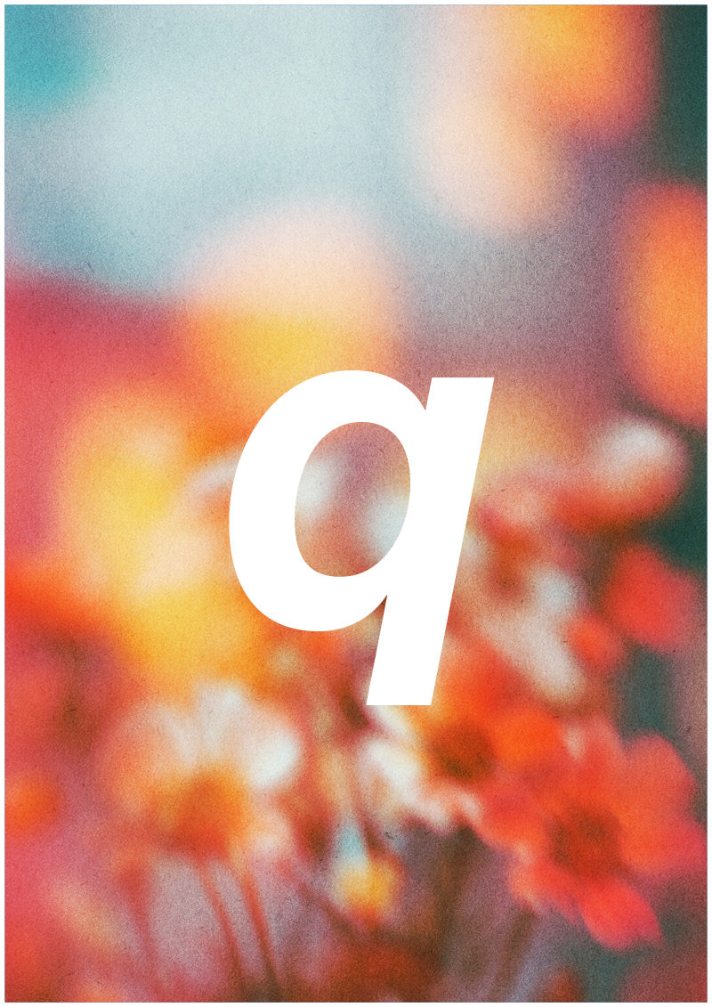 Bloom - Q