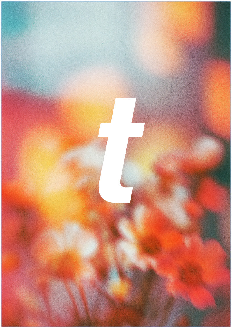 Bloom - T