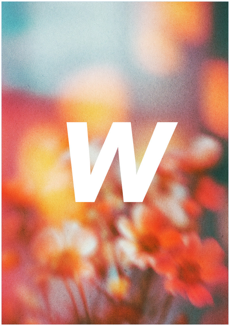 Bloom - W