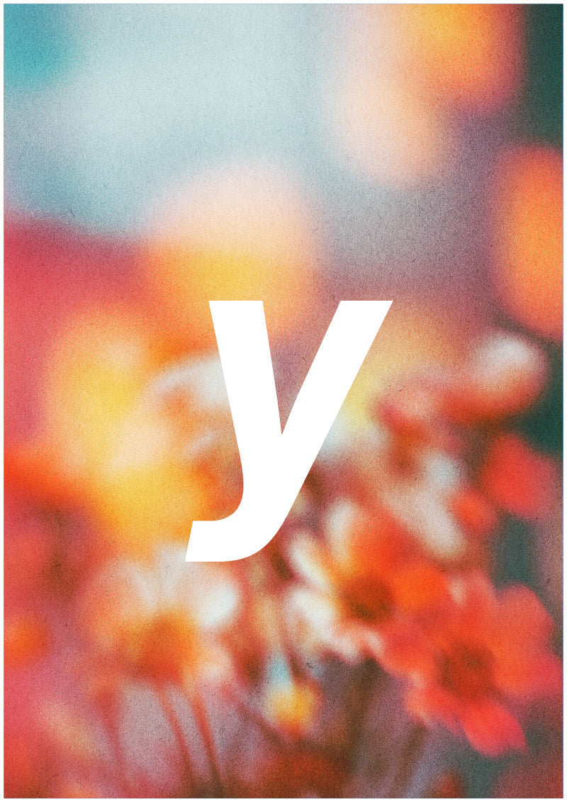 Bloom - Y