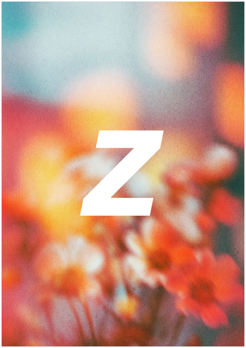 Bloom - Z