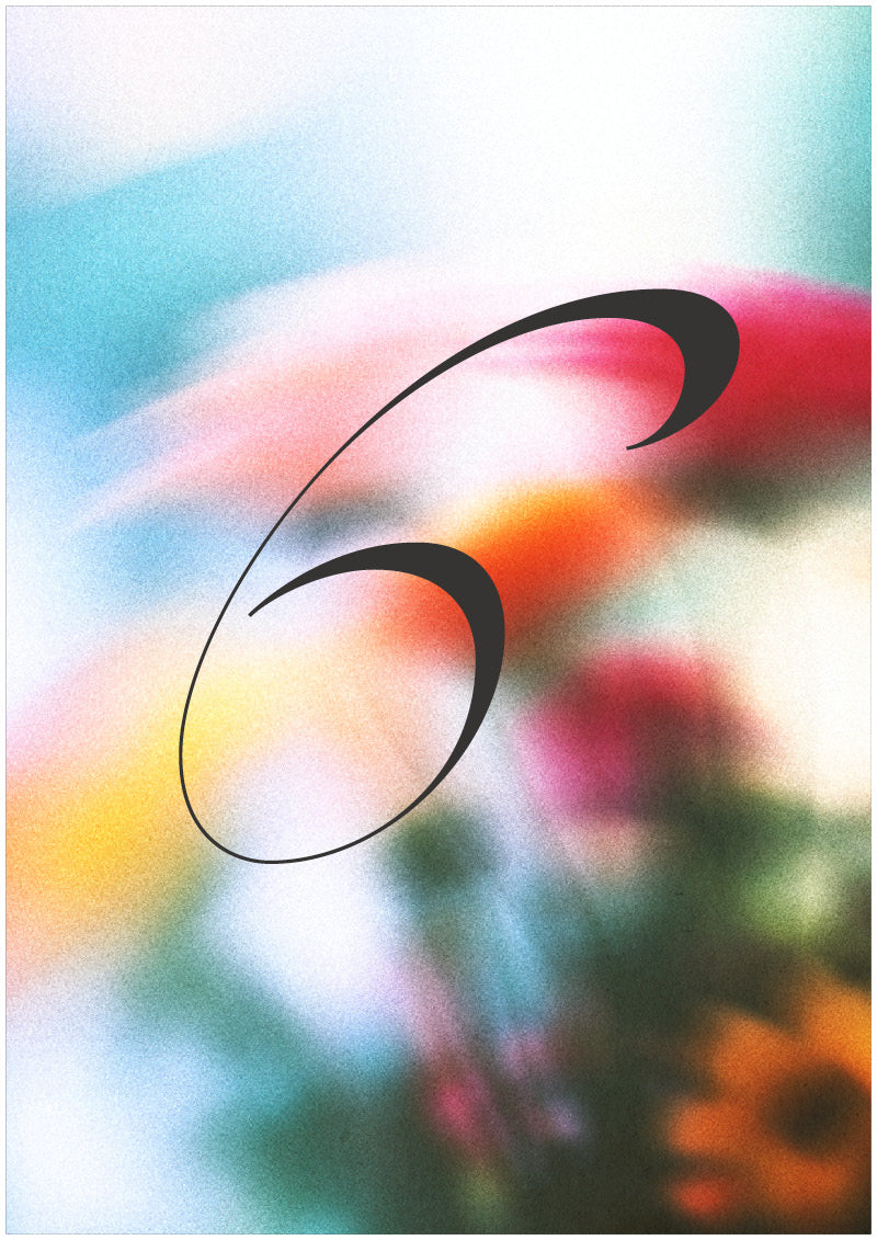 Lucid - 6